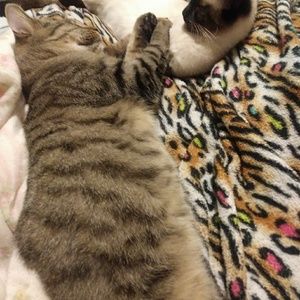 Meet your Posher, Matt